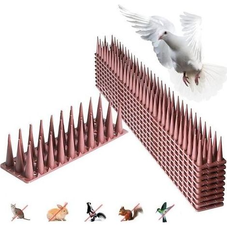 Pic anti pigeon balcon 12 pièces – Piques en plastique 4.3 m – Protection contre les oiseaux – Pour appuis de fenêtre et balustrades (1/4)