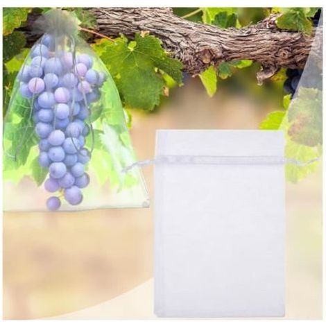 Organza Fruit Protection Bags - 100 Pack - 30cm x 20cm - Transparent