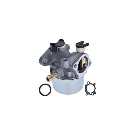 Vergaser mit Dichtung für Briggs & Stratton Rasenmäher 799871, 796707, 794304, 790845, 128L05, 128L07, 128M02, 12H800 (Motoren der Serien 625, 650, 675, 700, 725).