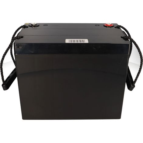 Q-Batteries 12LC-75 2er-Set 24V 77Ah – Ersatzakku für 24V Universal-Set (1/5)