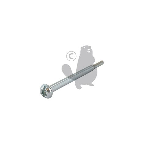 Tornillo abrazadera carburador GGP - CASTELGARDEN 118800212/0