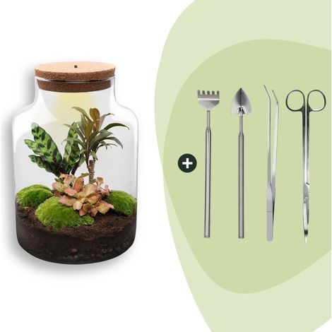 Terrarium Plante DIY avec Lumière Milky Ø 21 x 30 cm Kit Écosystème Autonome et 4 Outils - PANGIVO (1/3)