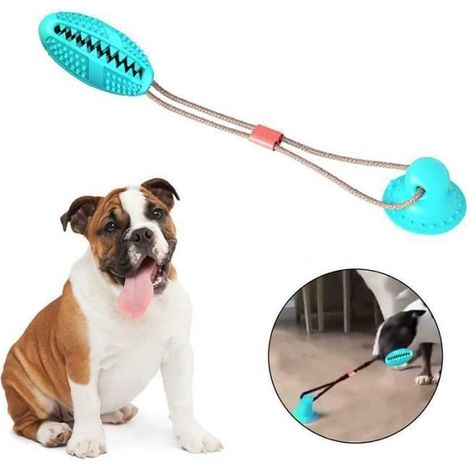 Morsure molaire multifonctionnelle pour animaux de compagnie ventouse style chien balle jouet à mâcher résistant à la nourriture (1/3)