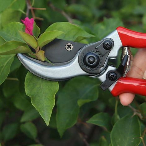 Ciseaux de coupe professionnels, ciseaux de jardin, sécateurs, tondeuse à gazon, cisailles de jardin, tondeuse à gazon (1/4)