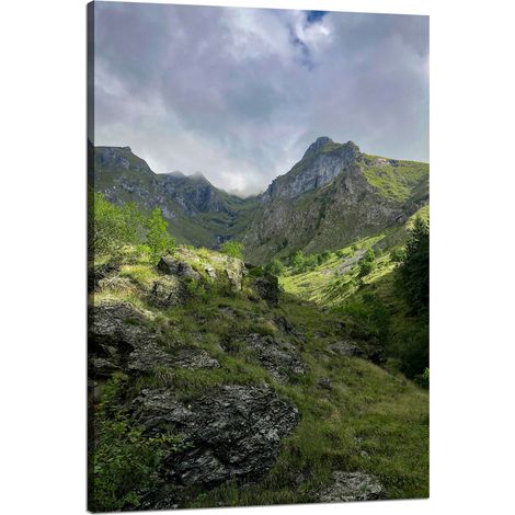 Leinwanddruck Natur Überwucherte Berge 80x120 cm