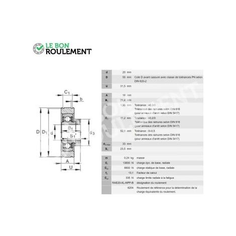Roulement de palier PE20-INA