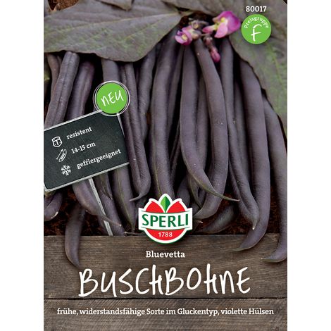 Sperli Buschbohnen Bluevetta - Gemüsesamen (1/3)