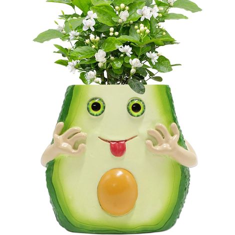 Avocado Formpflanzentopf Niedlicher Kaktushalter Kleine Harz