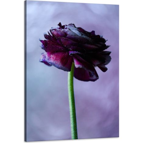 Stampa su tela "Botanica: Fiore viola" 60x90 cm