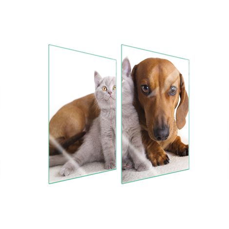 PLACA PROTECTORA DE VIDRIO PARA COCINA 2x35x52 ANIMALES (1/5)