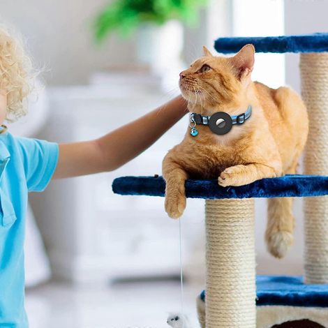 Collier mignon pour chienne, doux et confortable, réglable pour dispositif de suivi (1/4)