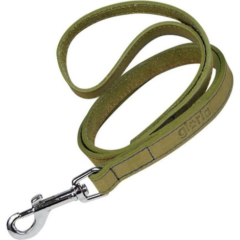 Guinzaglio per Cani Gloria Oasis 3 x 60 cm Verde (1/5)
