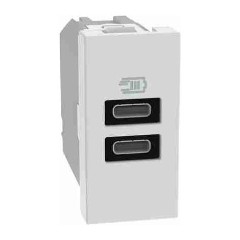 BTIJW4191CC 15W Typ-C Dual-Port USB-Ladegerät