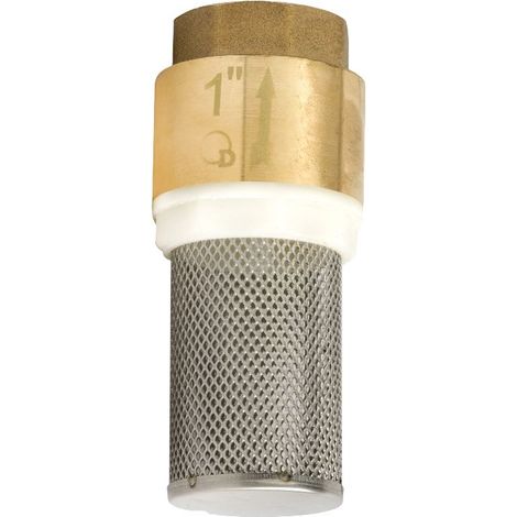 VÁLVULA DE RETENCIÓN DE LATÓN DE 1/2 PULGADA CON FILTRO DE SUCCIÓN (1/2)