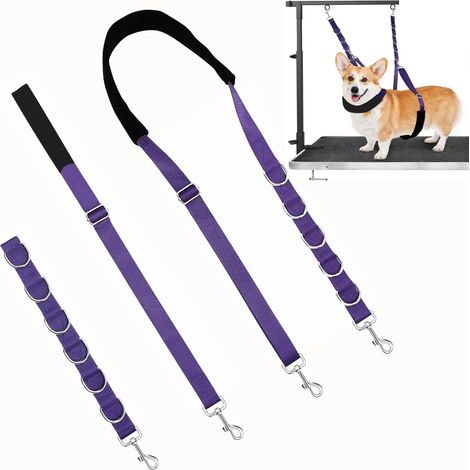 Sangle toilettage chien réglable en nylon – fixation sécurisée violet