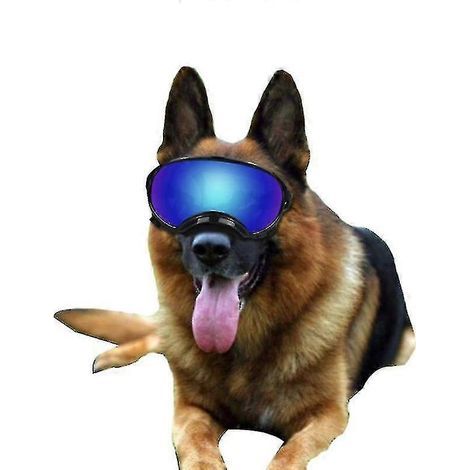Lunettes de soleil pour chien. protection UV. contre le vent. la poussière et la buée. avec sangle ajustable. couleur 2.