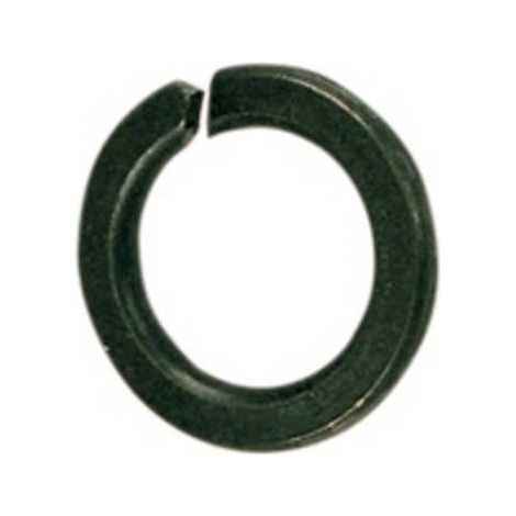 SC RONDELLA GROWER D 12 MM DA  50 PZ