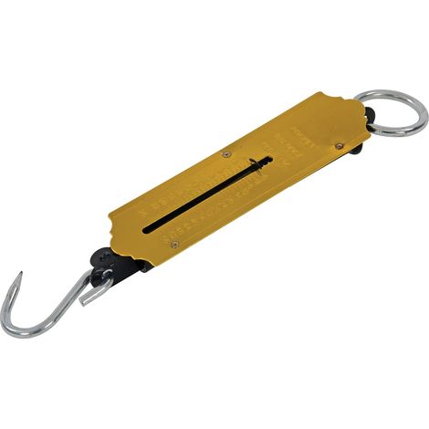 1 Balance à ressort, crochet de pesée, écran LCD, fonction tare, pour bagages pêche commerce (1/5)