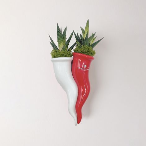 Succulenta in ceramica artigianale Made in Italy Bacio Fortunato - Bianco