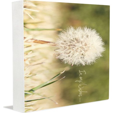 Cadre photo commémoratif, cadeau de fin d'études secondaires pour les seniors / personnes âgées, panneau décoratif en bois pour la maison ou le bureau. (1/5)