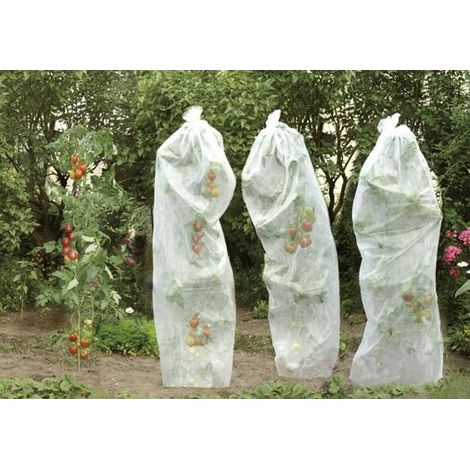 floraworld Tomatenreifevlies 0,8x5m 17g weiß (1/3)