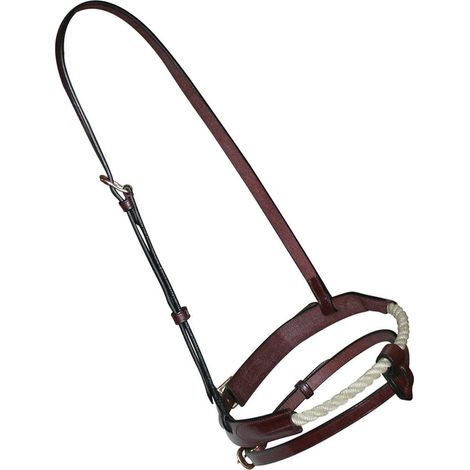 marrone - Cuir anglais et corde en or avec boucles en laiton poli