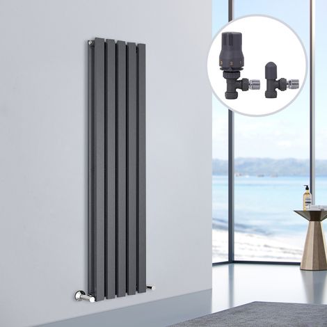 Designer Radiator D Shape Flat Panel Rad Central Heating Rads 1600x340mm Double Anthracite (1/5)