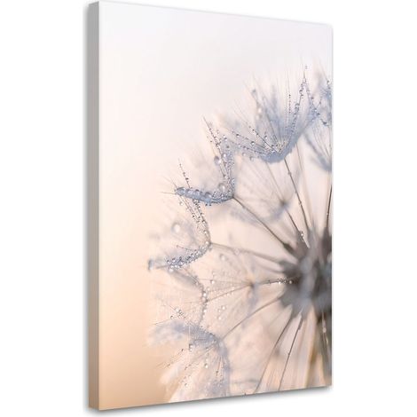 Wandbild Löwenzahn Pflanzen Tau Natur 20x30 (1/5)