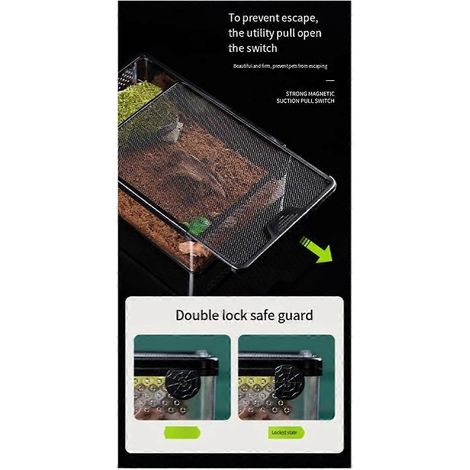 Transparente Futterbox für Reptilien, Amphibien, Insekten und Reptilien