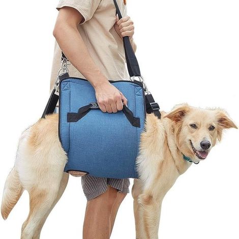 Arnés para perros，mochila de rehabilitación con soporte，arnés ajustable para perros，adecuado para perros mayores con problemas articulares，azul) (1/5)