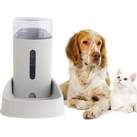 Automatischer Wasserspender für Haustiere, großer 3,8-Liter-Trinkbrunnen für Hunde (1/5)