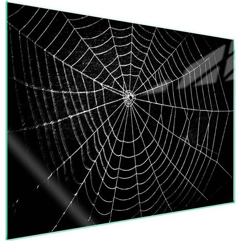 Plaque de protection en verre pour poêle 70x52 pièces (1/5)