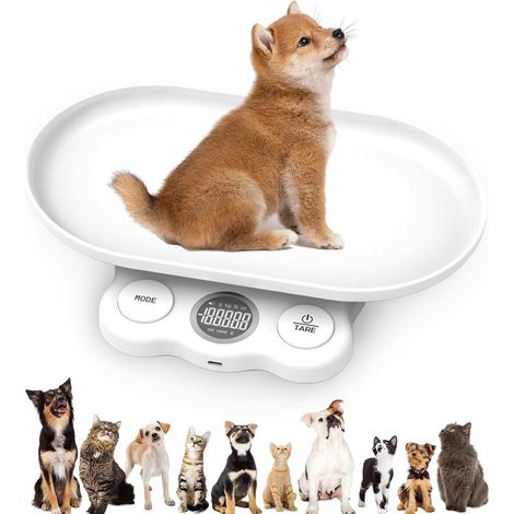 Balance et numérique pour animaux de compagnie : 15 kg (± 1 g), balance numérique LCD avec 7 modes de pesée (g/kg/oz/lb/ml/mml/tl), balance numérique pour petits chats et chiens (1/5)