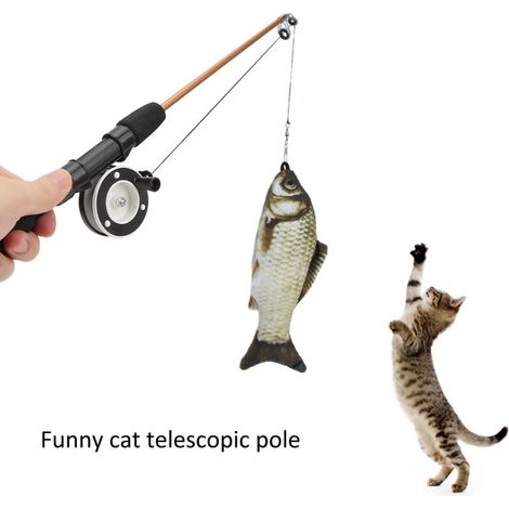 Canne à pêche interactive pour chat avec leurre poisson réaliste et moulinet télescopique (1/5)