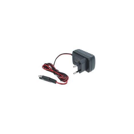 Chargeur pour démarreur de batterie 12 V – 0,1 A avec protection contre la surcharge et la surchauffe – Câble de 2 m – Compatible avec les démarreurs portables (1/4)