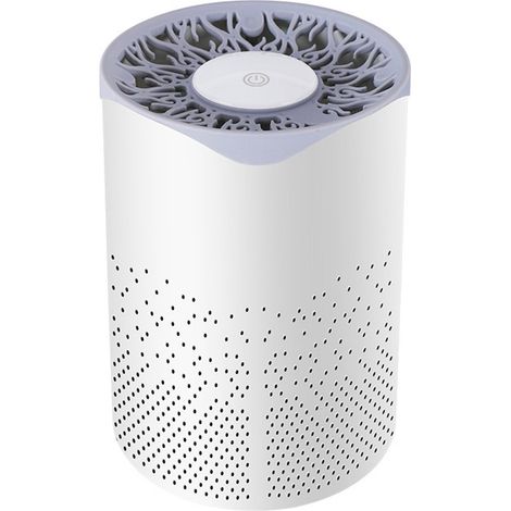Purificateur d'air pour chambre, filtre à air, purificateur d'air portable et silencieux pour bureau et salon (1/5)