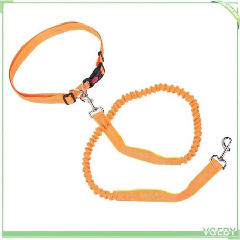 Laisse pour chien - FAFEICY - Nylon multifonction - Anti-choc - Bandes réfléchissantes - Anneau en D (1/5)