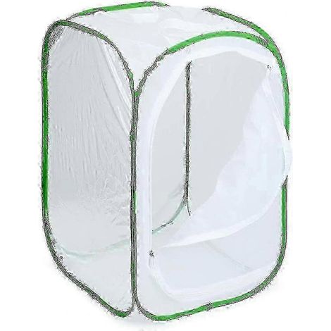 Cage d'élevage de papillons (pliable) - Habitat pour insectes, disponible en trois tailles. (1/4)