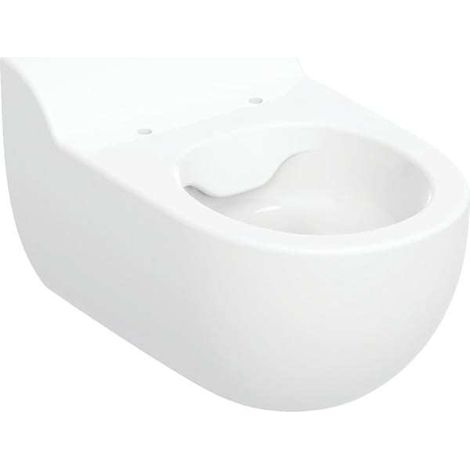 Geberit Bambini - Wand-WC, für Kinder, Rimfree, weiß 502.959.00.1 (1/5)
