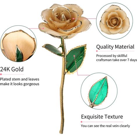 Rose à longue tige trempée dans de l'or 24 carats, présentée dans un coffret cadeau avec support (Rose avec support) (1/5)