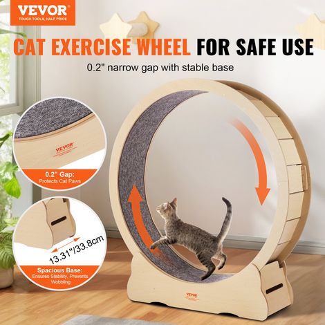 Roue d'Exercice pour Chat 1320 mm Grande Roue de Course pour Chat d'Intérieur, avec Tapis Roulant Amovible, Teaser pour Chat pour C… (1/5)