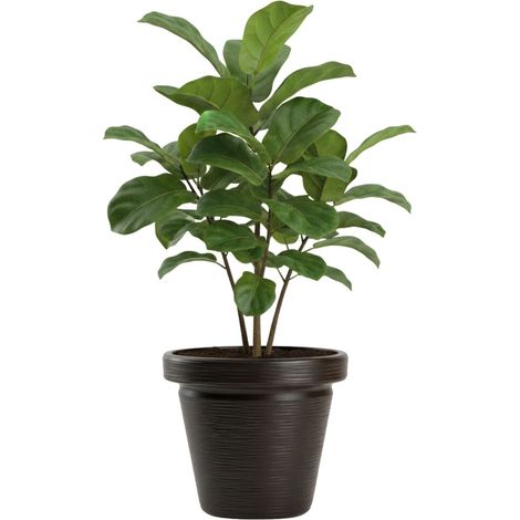 Blumentopf Srtia Riflo Mokka H40x46 cm