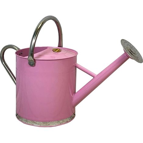 Pink & Chrome Metal Watering Can with Rose (9 Litre) (1/5)