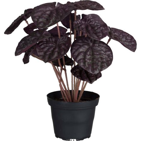 Peperomia fausse plante en pot lesté H20cmD20cm Top Qualité Vert-rouge - couleur: Vert-rouge