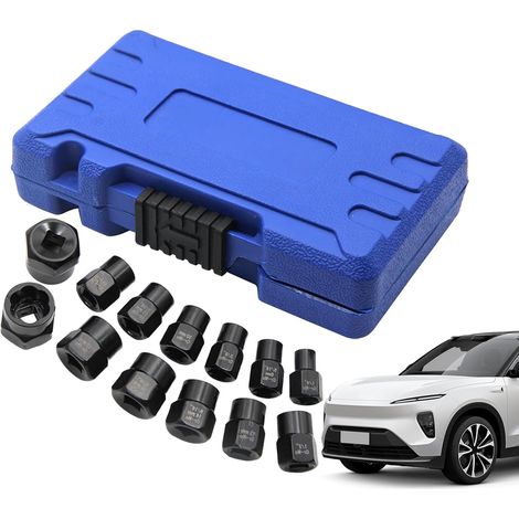 Kit Extracteur de Vis et Boulons Outil d'Extraction avec Boîtier de (1/5)