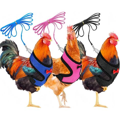 Lot de 3 Harnais avec Laisse Réglable pour Poule Canard Oie Taille M (1/5)