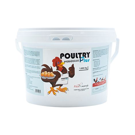 Probiótico Natural para Reforzar la Salud Intestinal de tus Aves de Corral Poultry Plus (1600g) Mejora de la Fertilidad y La Puesta de Huevos