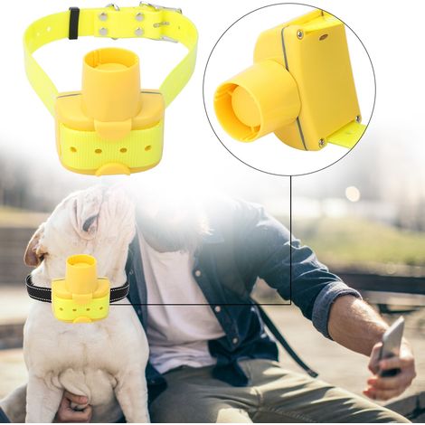 Collier de dressage électrique étanche pour chien, avec télécommande magnétique et 8 tonalités. (1/5)