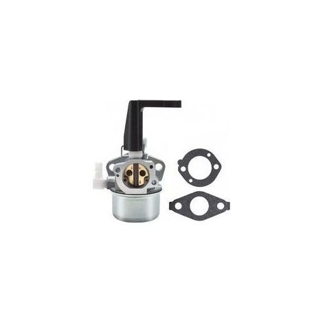 Kit de remplacement du carburateur avec joints pour moteurs Briggs & Stratton (1/4)