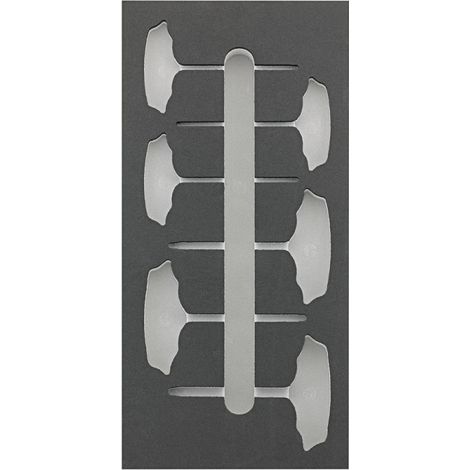 Module d'outils 1/3 vide T-Griff Torx FORTIS